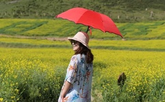 海卓手机加速器